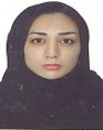مریم شیخلو
