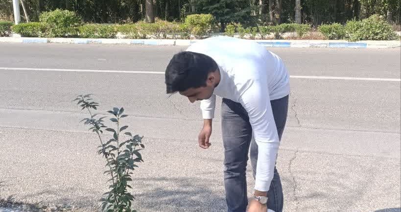 عکس