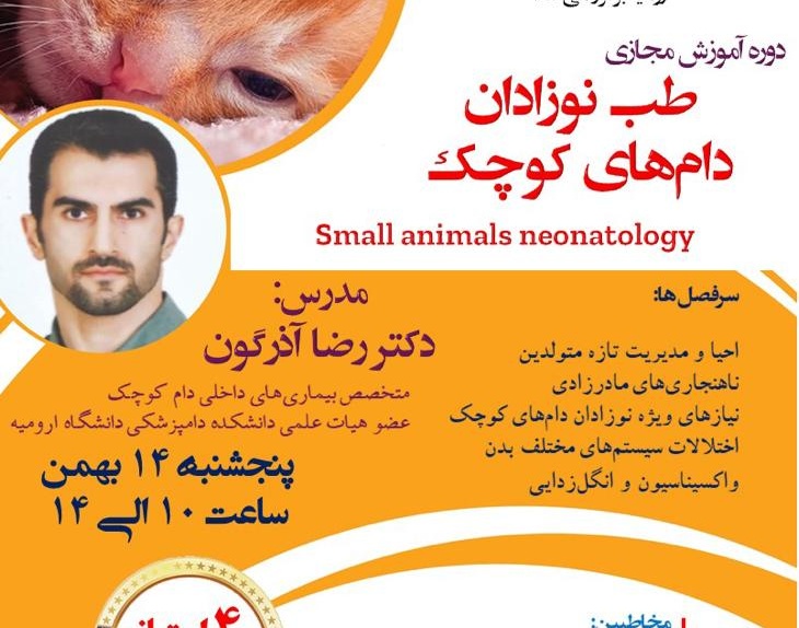 دوره آموزش مجازی طب نوزادان دام های کوچک در دانشگاه ارومیه برگزار می شود