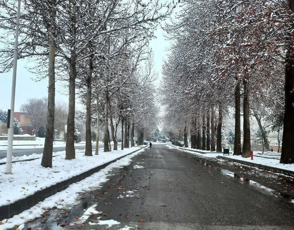 گزارش تصویری از بارش اولین برف زمستانی سال 1401 در دانشگاه ارومیه