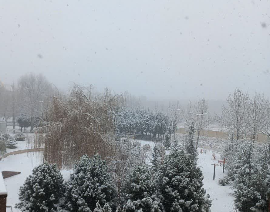 گزارش تصویری از بارش اولین برف زمستانی سال 1401 در دانشگاه ارومیه