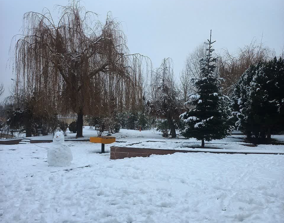گزارش تصویری از بارش اولین برف زمستانی سال 1401 در دانشگاه ارومیه