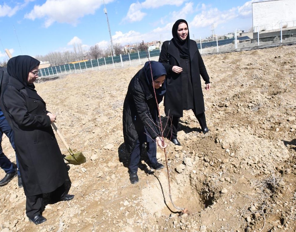 همزمان با مراسم گرامیداشت شهدای دانشگاه؛ کاشت 290 نهال به یاد 29 شهید دانشگاه ارومیه