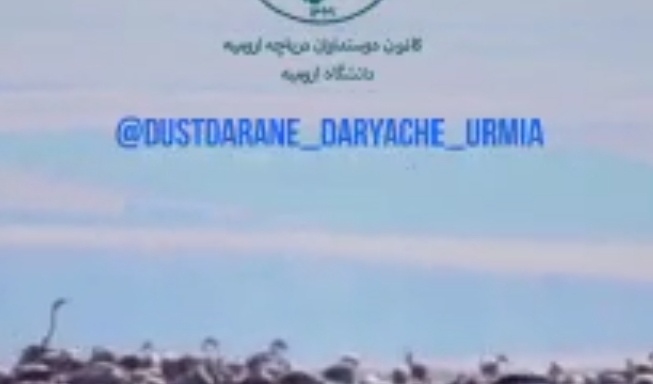 کانون دانشجویی دوست داران دریاچه ارومیه زیر چتر حمایتی معاونت فرهنگی و اجتماعی دانشگاه ارومیه تاسیس شد