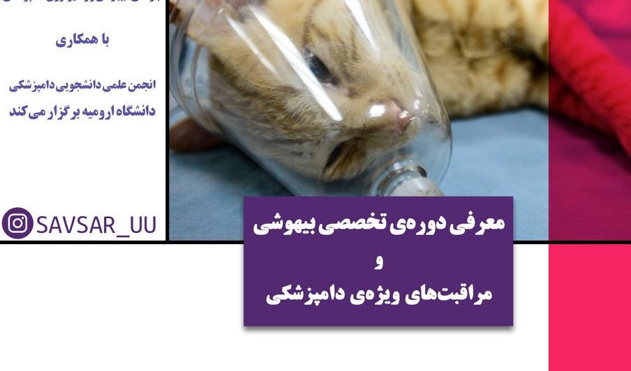 معاوتت فرهنگی و اجتماعی دانشگاه ارومیه برگزار می کند: لایو معرفی دوره‌ی تخصصی بیهوشی و مراقبت‌های ویژه‌ی دامپزشکی