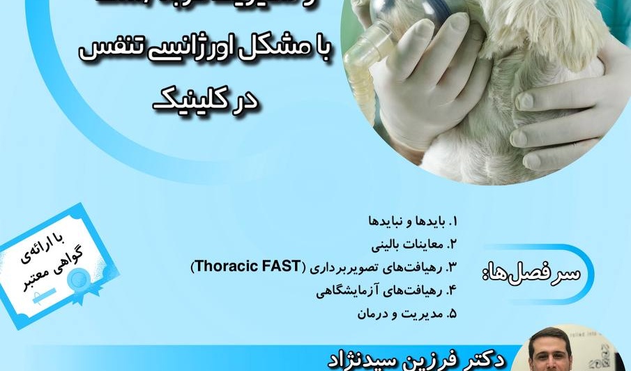 معاونت فرهنگی و دانشجویی دانشگاه ارومیه برگزار می کند: وبینار آموزشی نحوه‌ی برخورد، تشخیص و مدیریت گربه/سگ با مشکل اورژانسی تنفس در کلینیک