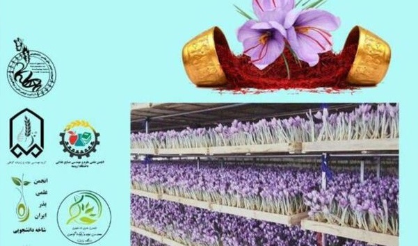 معاونت فرهنگی و دانشجویی دانشگاه ارومیه برگزار می کند: آموزش کاشت زعفران گلخانه ای