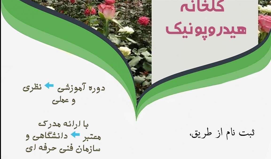 معاونت فرهنگی و دانشجویی دانشگاه ارومیه برگزار می کند: دوره ی آموزشی پرورش گل رُز در گلخانه ی هیدروپونیک