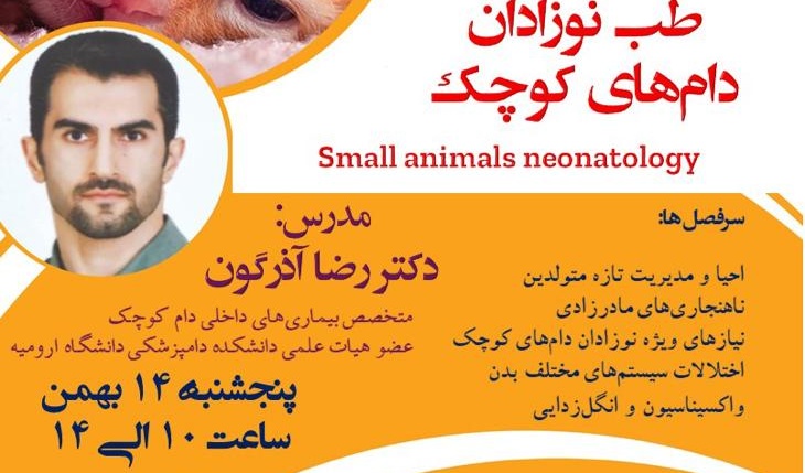 دوره آموزش مجازی طب نوزادان دام های کوچک در دانشگاه ارومیه برگزار می شود
