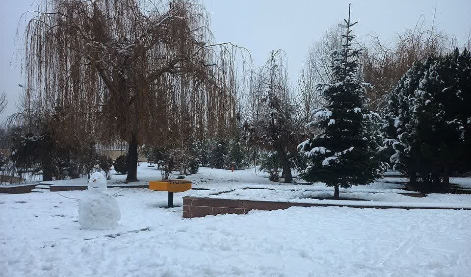 گزارش تصویری از بارش اولین برف زمستانی سال 1401 در دانشگاه ارومیه