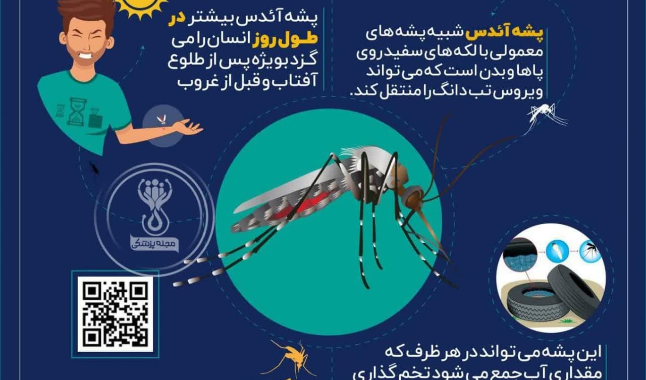 روش انتقال تب دنگی