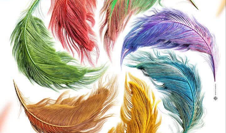 پوستر ششمین جشنواره ملی هنری دانشجویی ققنوس