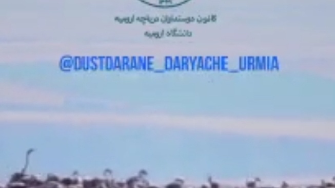 کانون دانشجویی دوست داران دریاچه ارومیه زیر چتر حمایتی معاونت فرهنگی و اجتماعی دانشگاه ارومیه تاسیس شد