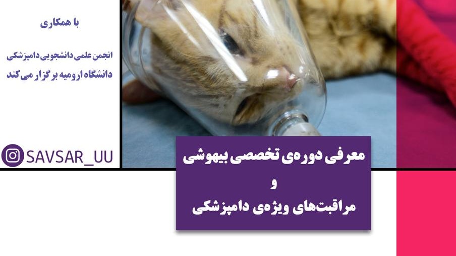 معاوتت فرهنگی و اجتماعی دانشگاه ارومیه برگزار می کند: لایو معرفی دوره‌ی تخصصی بیهوشی و مراقبت‌های ویژه‌ی دامپزشکی