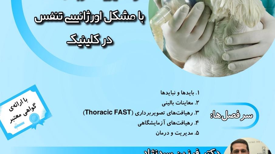 معاونت فرهنگی و دانشجویی دانشگاه ارومیه برگزار می کند: وبینار آموزشی نحوه‌ی برخورد، تشخیص و مدیریت گربه/سگ با مشکل اورژانسی تنفس در کلینیک