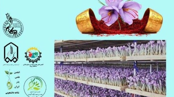 معاونت فرهنگی و دانشجویی دانشگاه ارومیه برگزار می کند: آموزش کاشت زعفران گلخانه ای