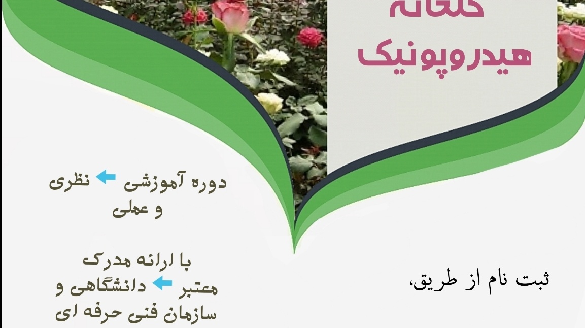 معاونت فرهنگی و دانشجویی دانشگاه ارومیه برگزار می کند: دوره ی آموزشی پرورش گل رُز در گلخانه ی هیدروپونیک