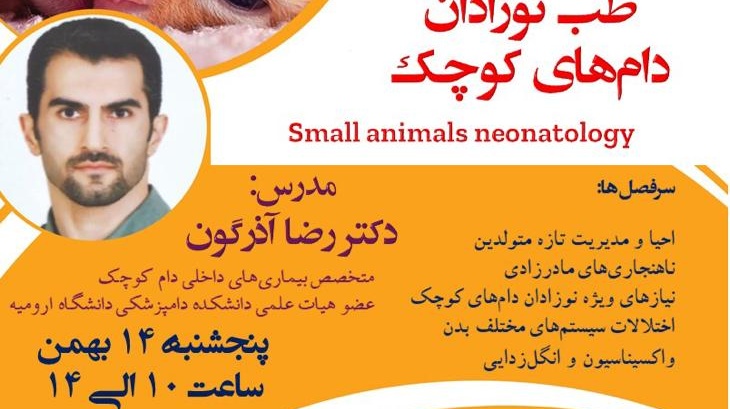 دوره آموزش مجازی طب نوزادان دام های کوچک در دانشگاه ارومیه برگزار می شود