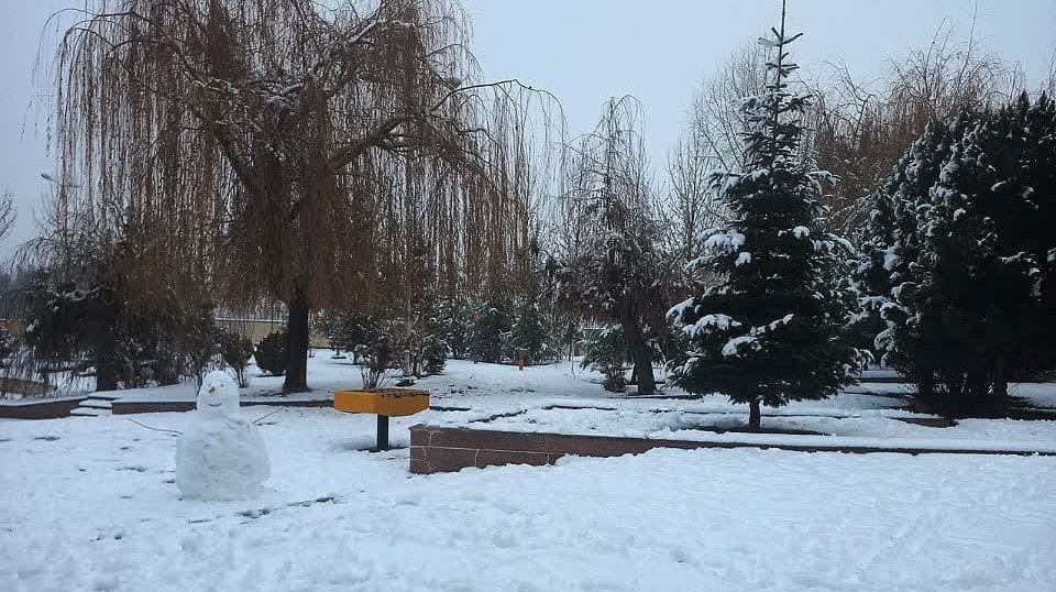 گزارش تصویری از بارش اولین برف زمستانی سال 1401 در دانشگاه ارومیه