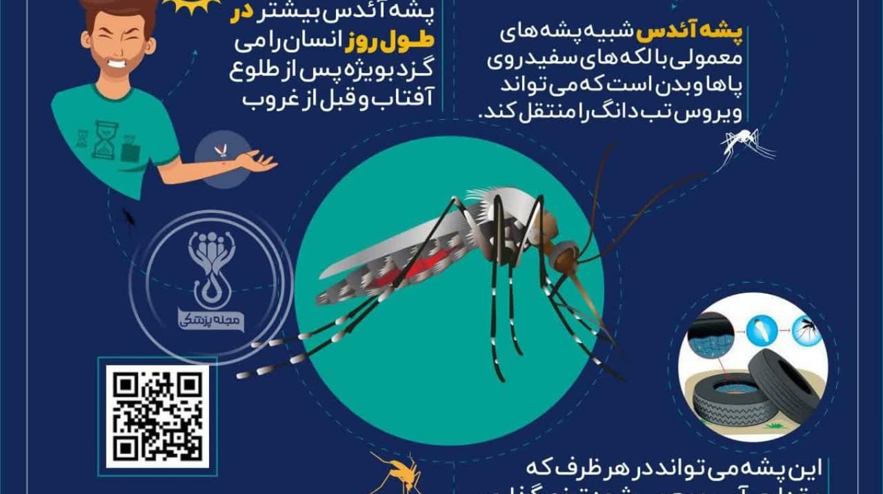 روش انتقال تب دنگی