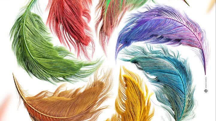 پوستر ششمین جشنواره ملی هنری دانشجویی ققنوس